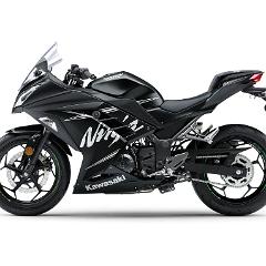 ninja300 winter3  Ninja? 300 ABS RR